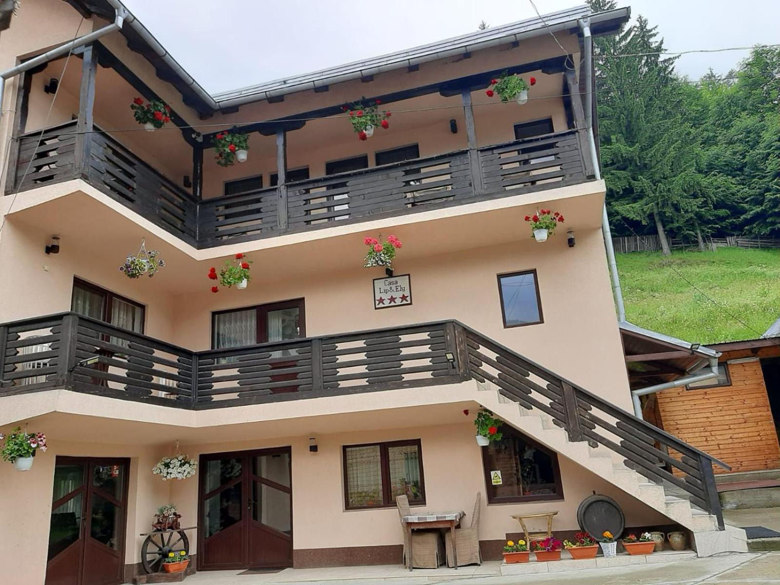 Lip Si Ely Hotell Dîmbovicioara Exteriör bild