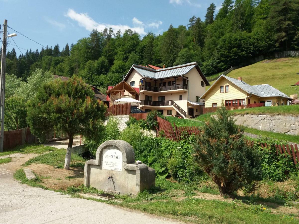 Lip Si Ely Hotell Dîmbovicioara Exteriör bild