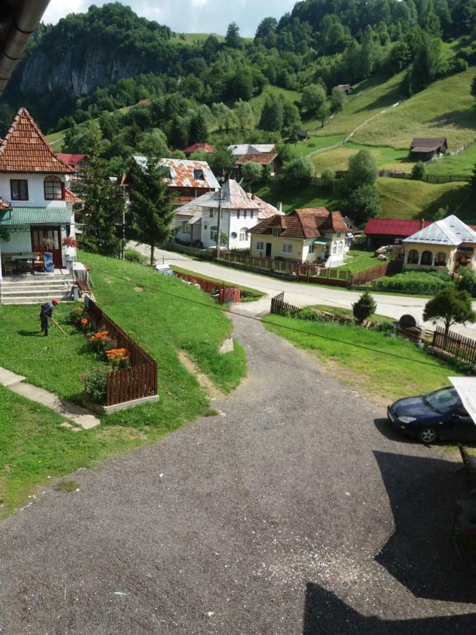 Lip Si Ely Hotell Dîmbovicioara Exteriör bild
