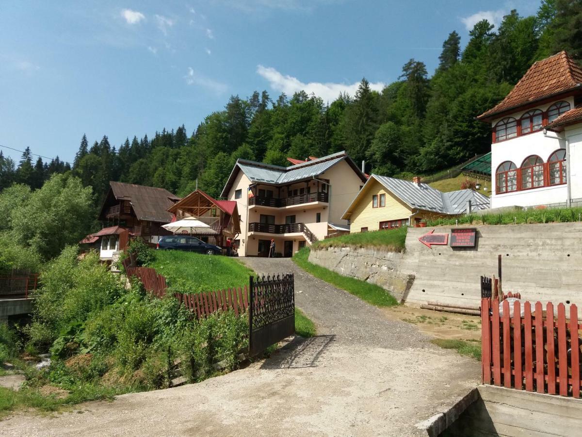 Lip Si Ely Hotell Dîmbovicioara Exteriör bild
