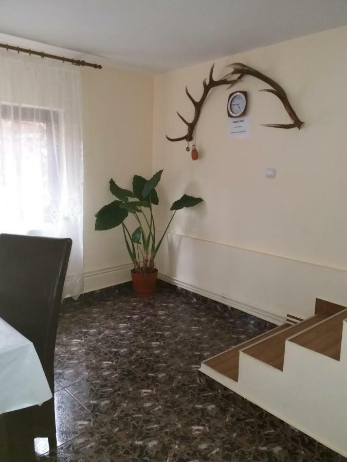 Lip Si Ely Hotell Dîmbovicioara Exteriör bild